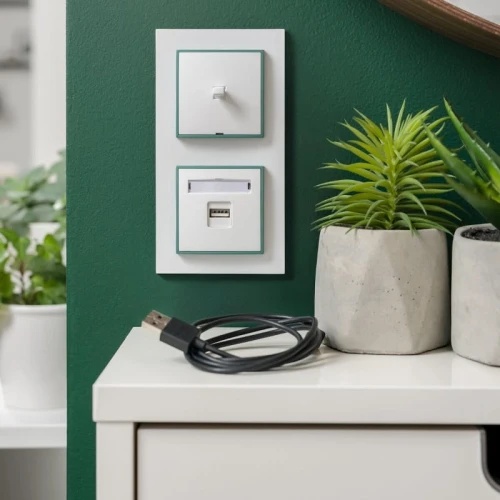 Łącznik pojedynczy Karlik MINI w stylu amerykańskim, biały, z przyciskiem w górnej części i gniazdem USB poniżej. Umieszczony na zielonej ścianie, obok dwóch doniczek z roślinami. W tle widoczny kabel USB na białym meblu.