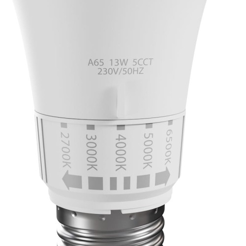 Żarówka LED E27 13W z możliwością zmiany barwy światła, z oznaczeniami temperatury barwowej 2700K, 3000K, 4000K, 5000K i 6500K. Kształt A65, z metalowym gwintem. Widok z boku, pokazujący szczegóły i napisy.