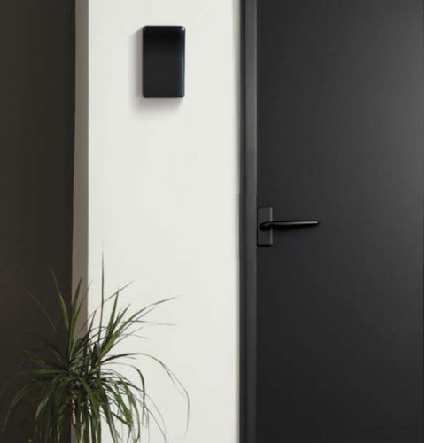 Dzwonek gong dwutonowy ORNO Brevis Mini 230V w kolorze czarnym, zamontowany na ścianie obok drzwi. Prosty, prostokątny kształt, minimalistyczny design. Tło jasne, z rośliną w doniczce w dolnym lewym rogu.