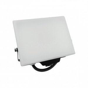 Naświetlacz NL-2 30W neutralny biały - EC20313