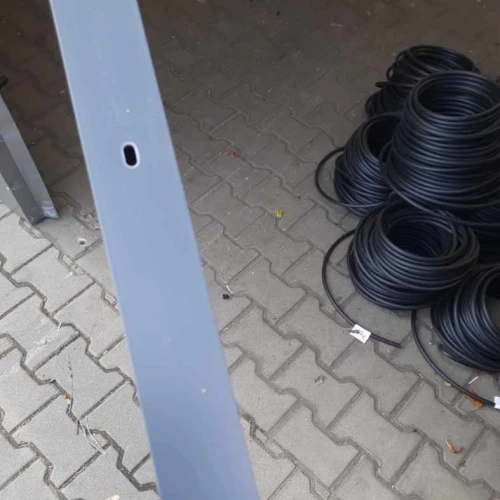 Zdjęcie koloru na żywo